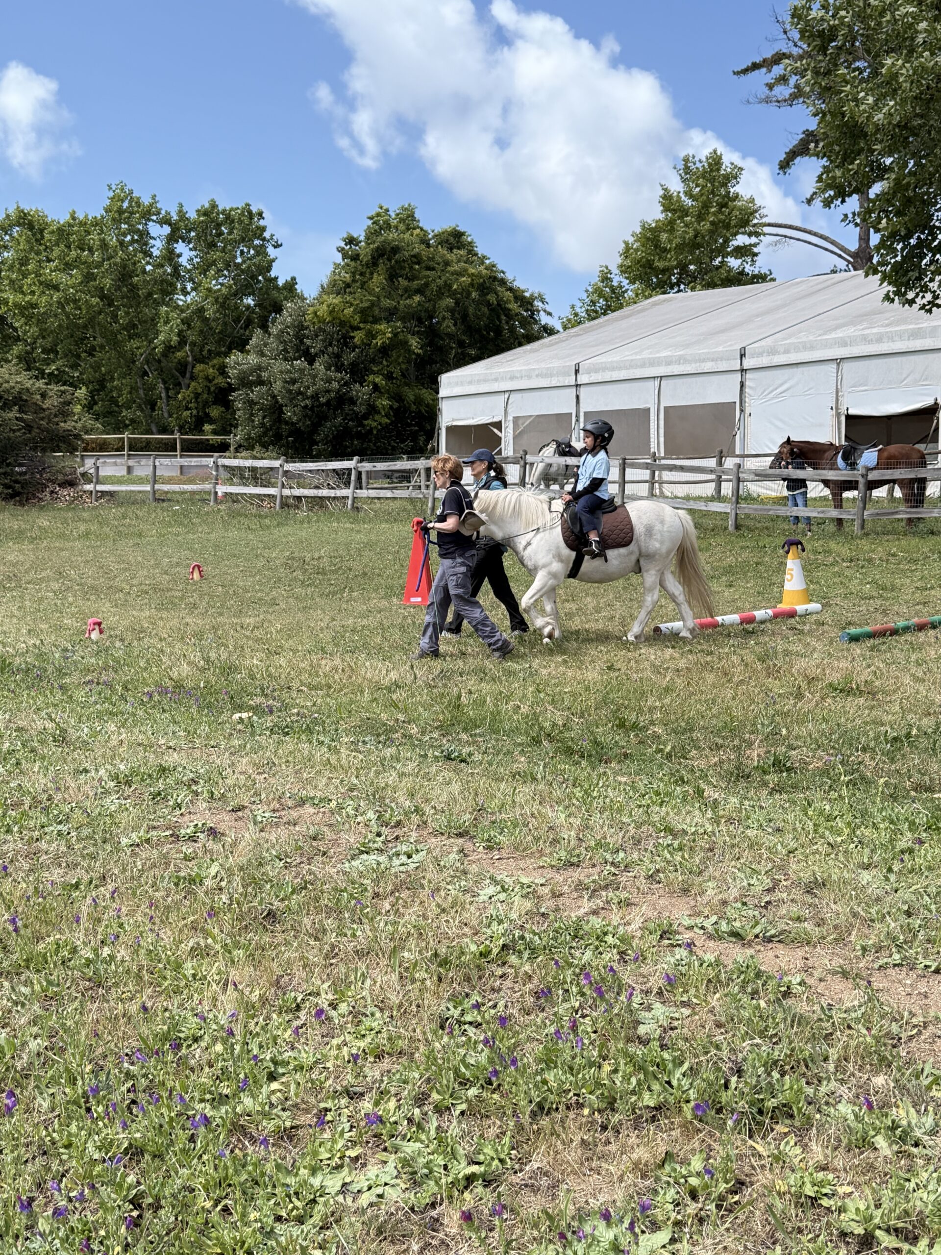 IMG_1441