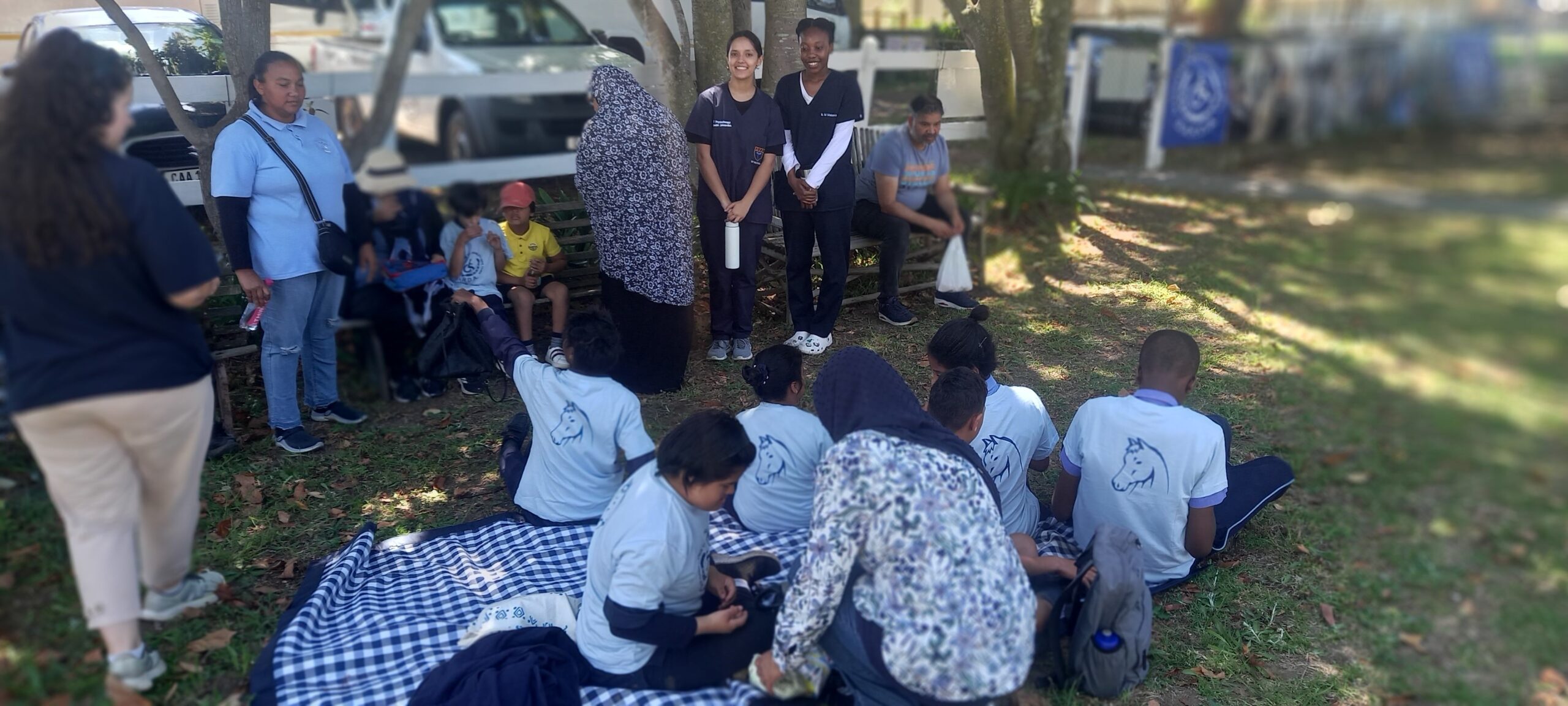 picnic on lawn