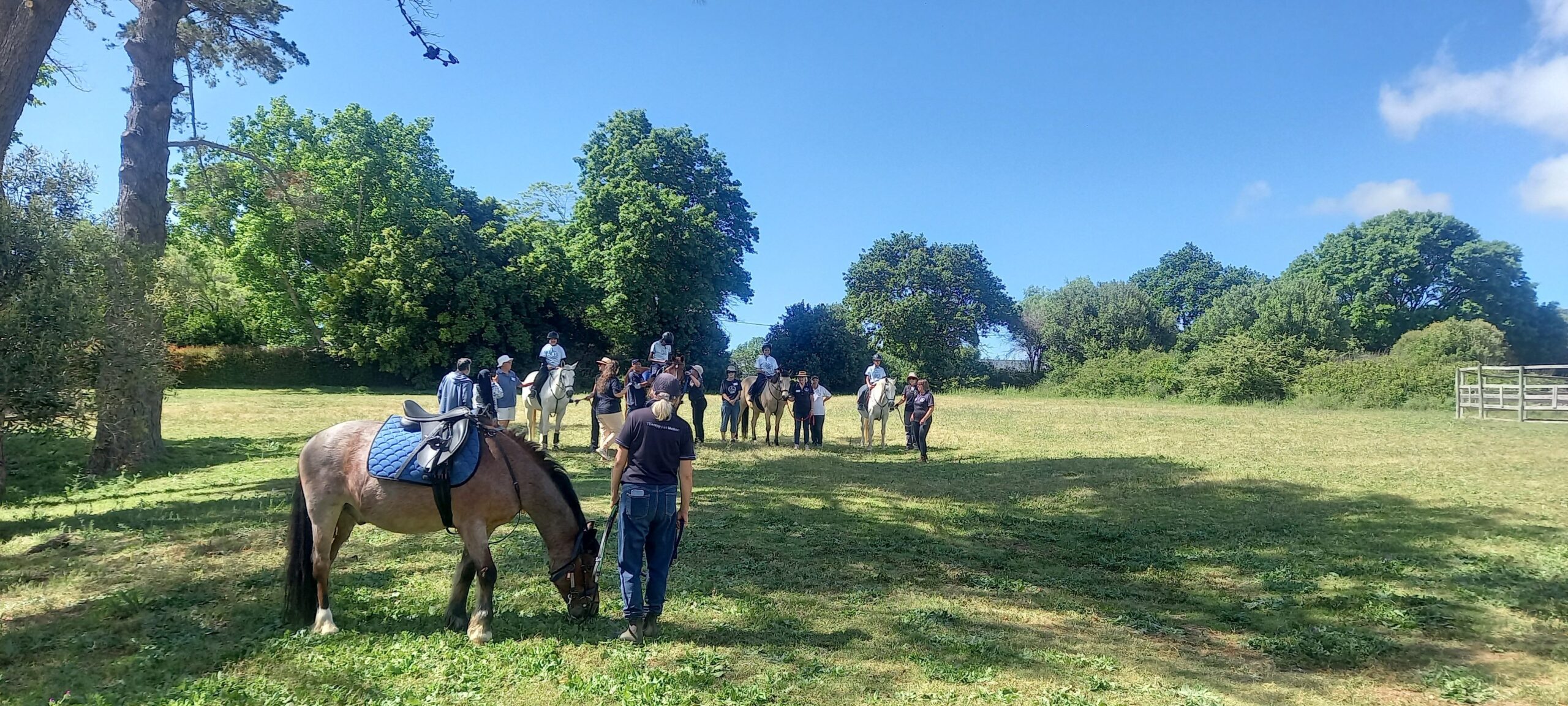 scenic horse image with riders